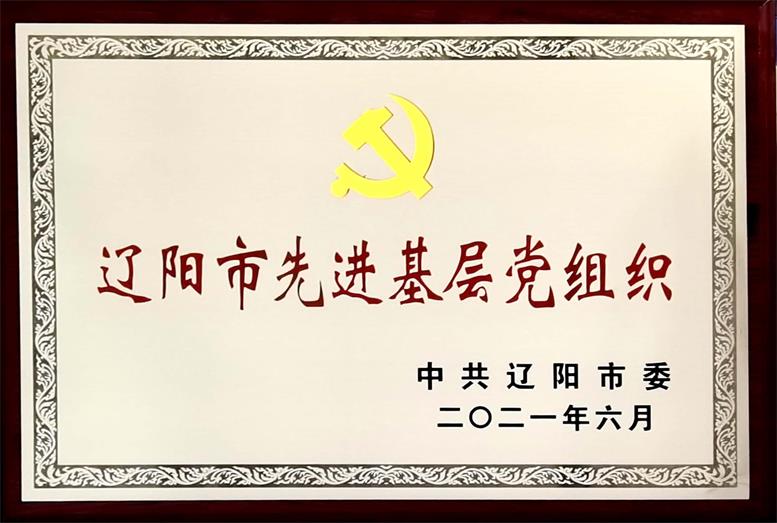 pp电子集团荣获“辽阳市先进下层党组织”称呼