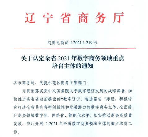pp电子信息荣获2021年辽宁省数字商务领军企业